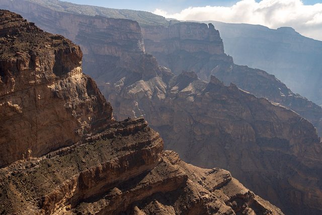 Representative photo of attractions in Oman, not huge elephant tree