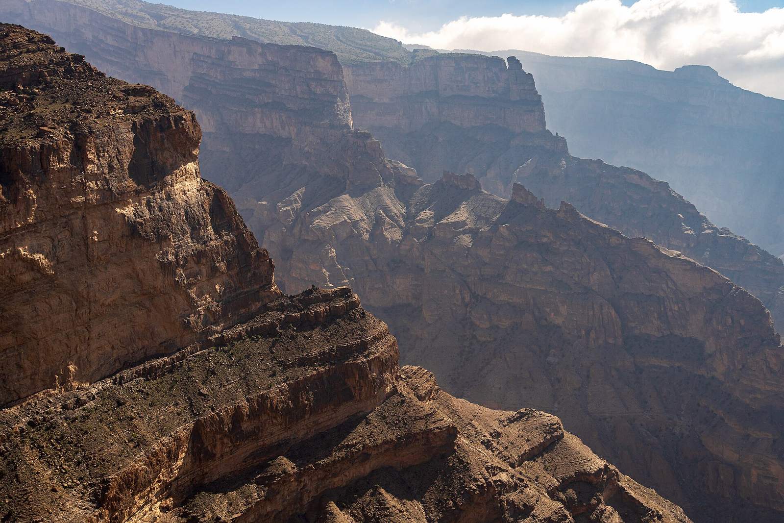Representative photo of attractions in Oman, not huge elephant tree