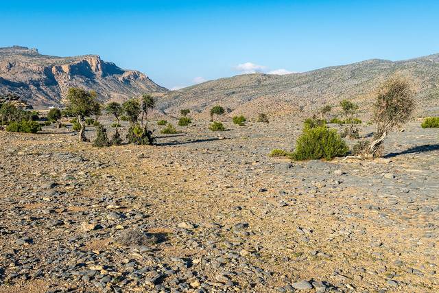 Representative photo of attractions in Oman, not Al Mouj Marina