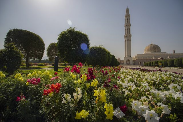 Representative photo of parks & gardens in Oman, not Al Amerat Public Park