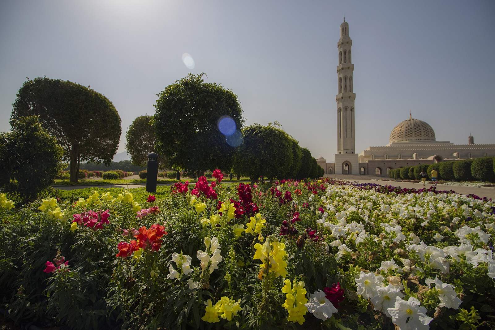 Representative photo of parks & gardens in Oman, not Happy Fun