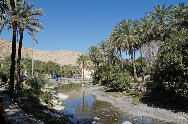 Representative photo of springs & oases in Oman, not Al Hiyaz