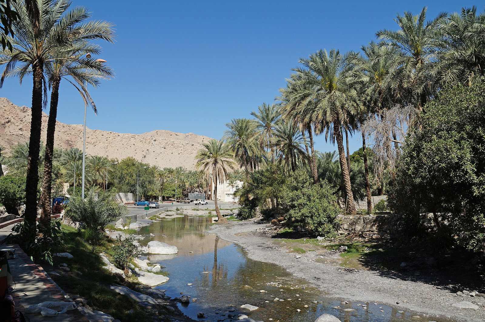 Representative photo of springs & oases in Oman, not Al Hiyaz