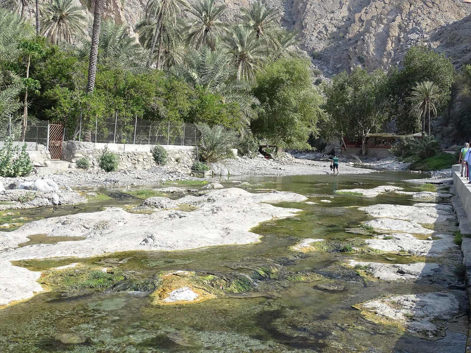 Representative photo of springs & oases in Oman, not Kor Spring