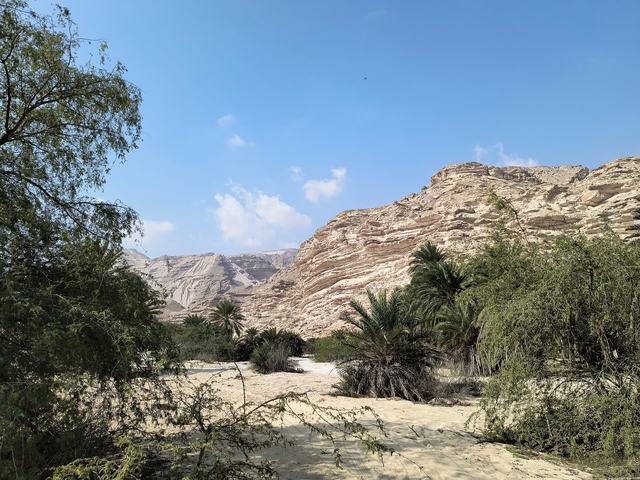 Representative photo of wadis in Oman, not Horse Gate Wadi Kabir