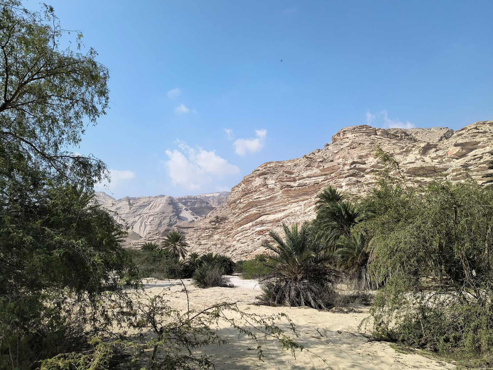 Representative photo of wadis in Oman, not Wadi Ghimayt