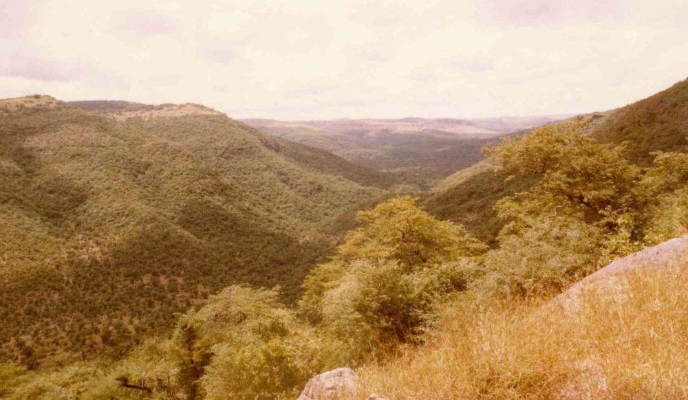 Dhofar Mountains — SAF 1981 - 82 (849778603).jpg