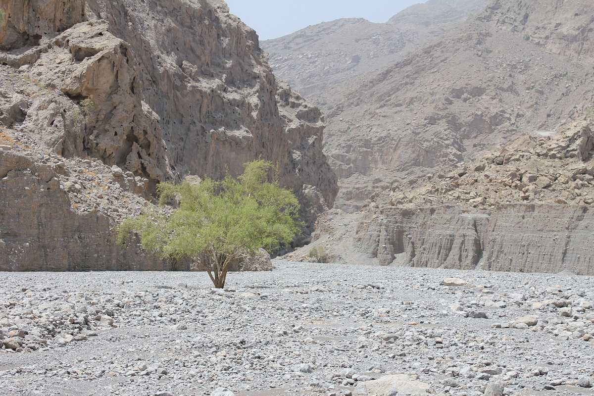 Musandam Peninsula — Canyon - panoramio (4).jpg