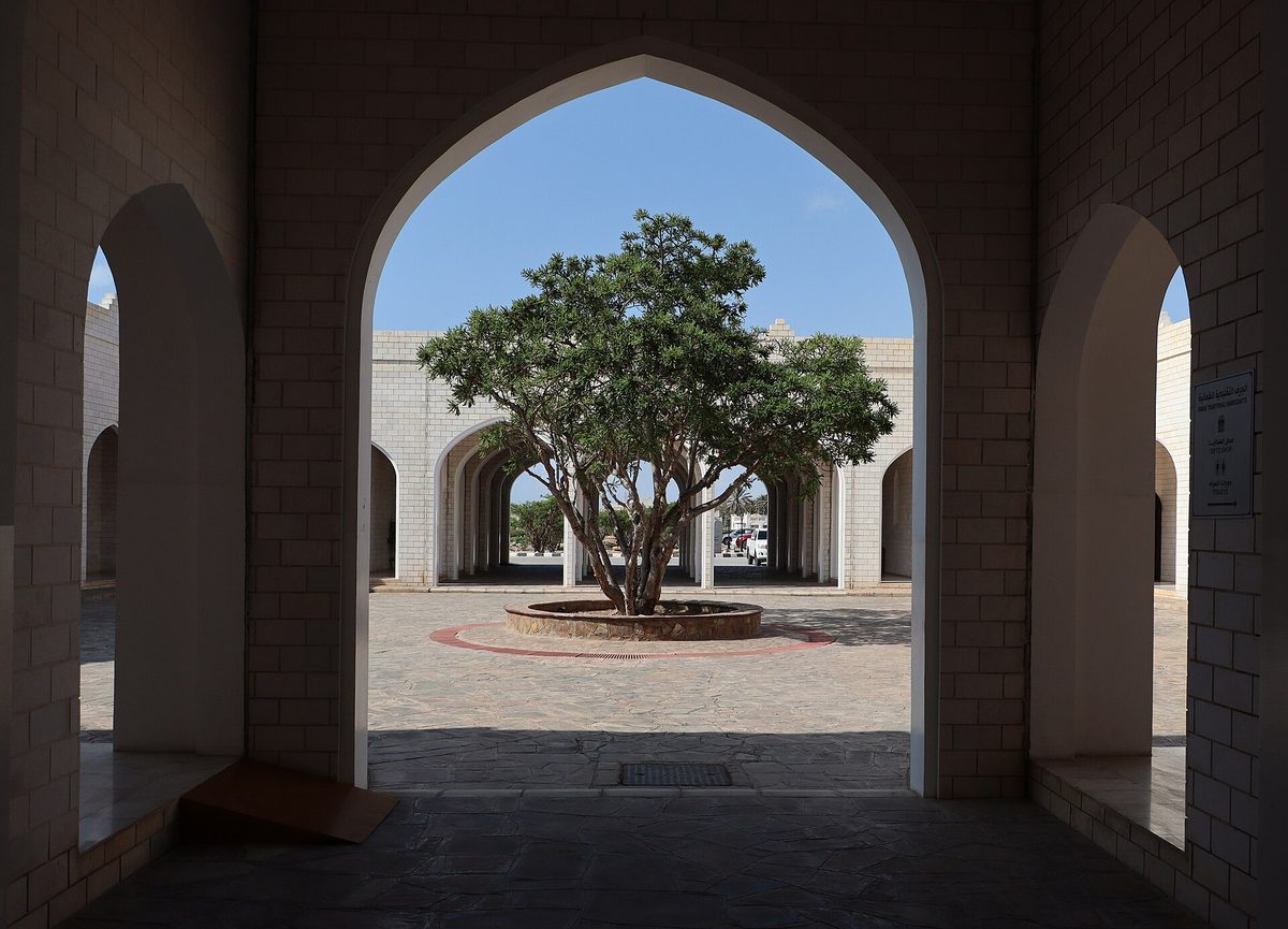 Museum of the Land of Frankincense — Salalah, museo della terra degli incensi, cortile 02 albero di incenso al centro.jpg