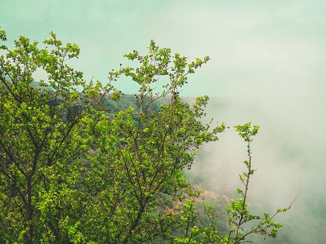 Shaat viewpoint