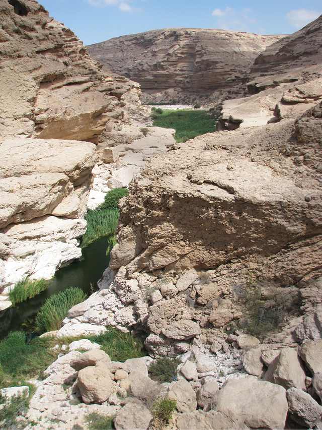 Wadi Ayun