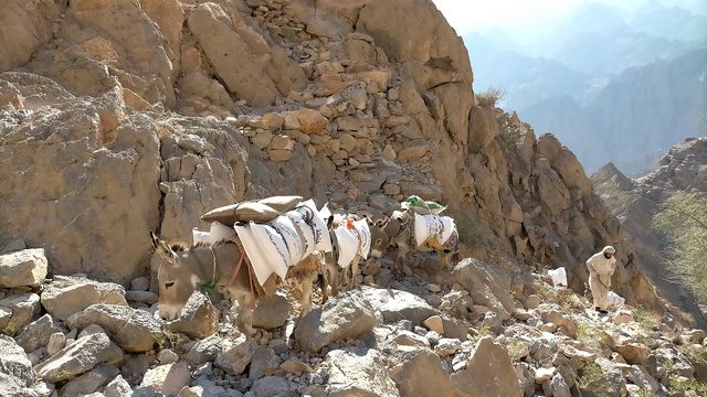 Wadi Khabb