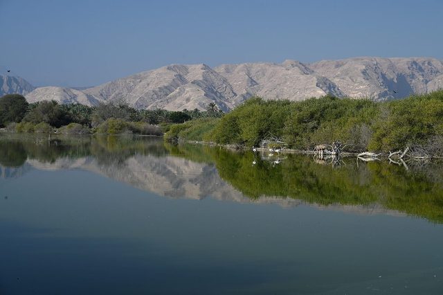 Wadi Mijlas
