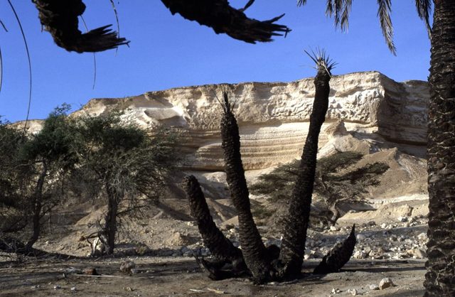 Wadi Shuwaymiyah